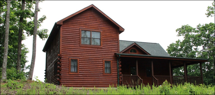 Professional Log Home Borate Application  Allen County, Ohio